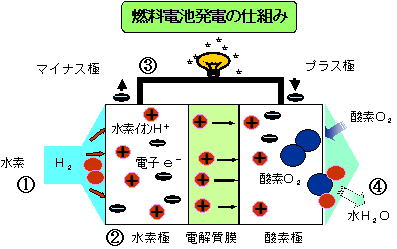 燃料電池発電の仕組み